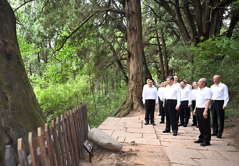 7月25日至27日，中共中央總書記、國家主席、中央軍委主席習(xí)近平在四川考察。這是25日下午，習(xí)近平在廣元市劍閣縣翠云廊考察。