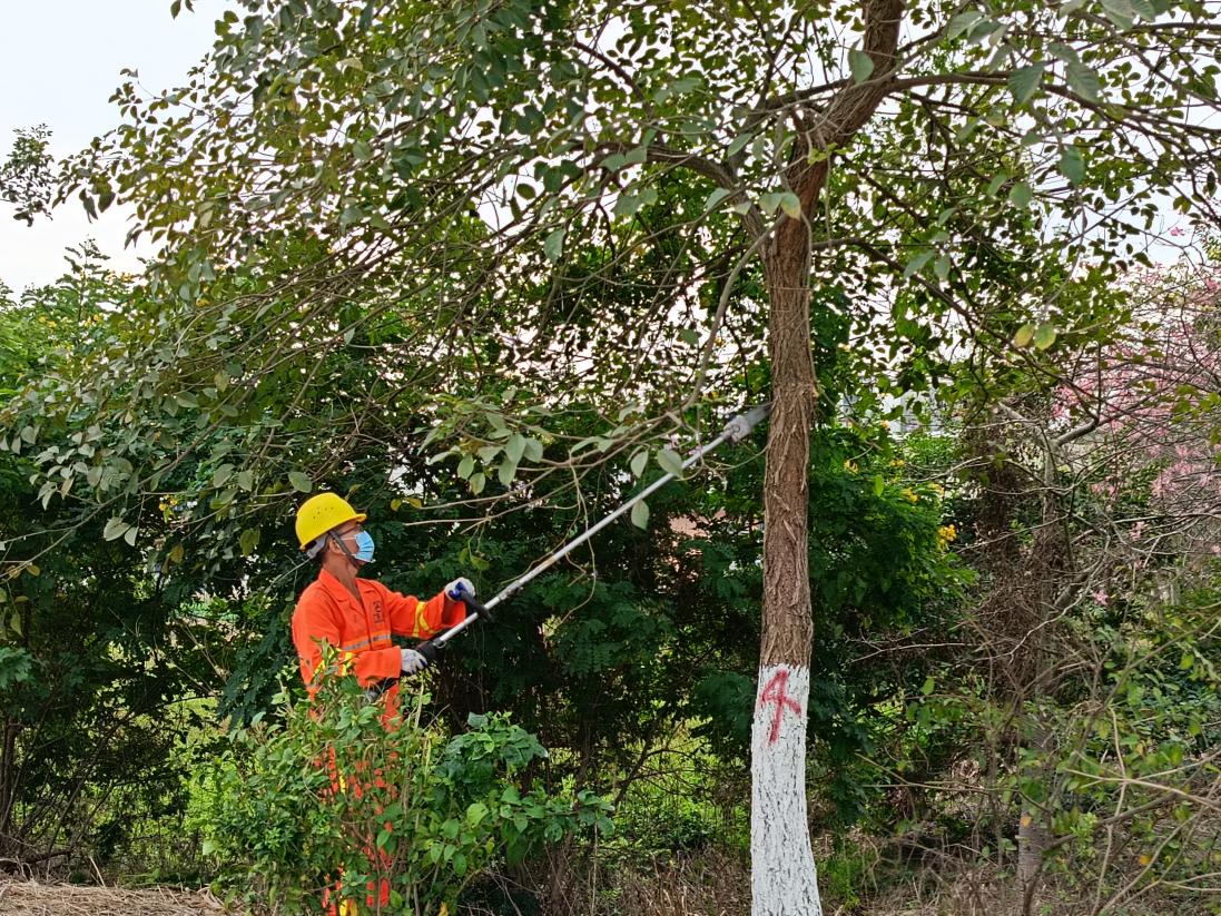 公路信息kp055-精準(zhǔn)培訓(xùn)提技能 以賽促練礪精兵——江門(mén)市開(kāi)平公路事務(wù)中心開(kāi)展2024年綠化養(yǎng)護(hù)培訓(xùn)與養(yǎng)護(hù)技能競(jìng)賽.docx_3